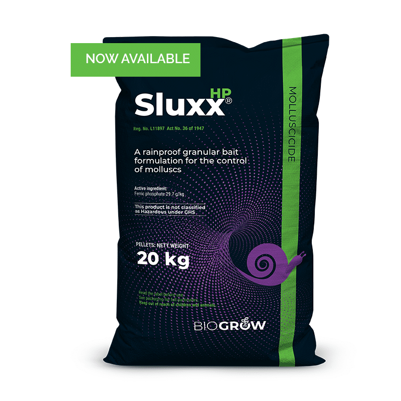 SLUXX SLUXX